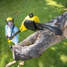 Best Lawn Disease Treatment  in Delta Junction, AK